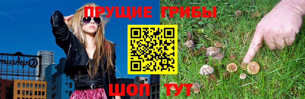 Галлюциногенные грибы ЛСД Алейск