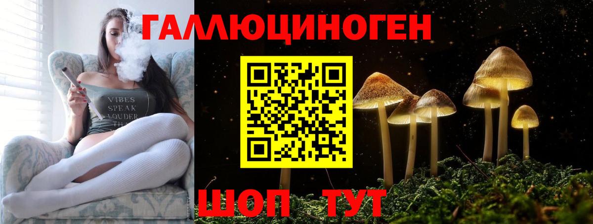 Галлюциногенные грибы мицелий  Галлюциногенные грибы Psilocybe  Алейск  Вход с VPN 